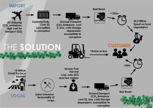 Empower 100 Hydroponic Urban Farmers in Benin City