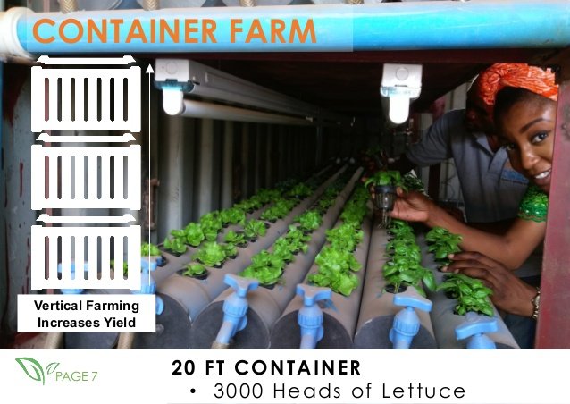 Empower 100 Hydroponic Urban Farmers in Benin City