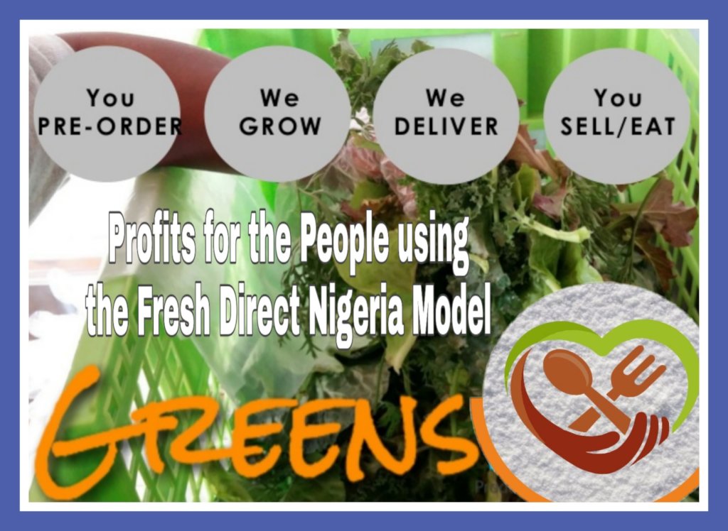 Empower 100 Hydroponic Urban Farmers in Benin City