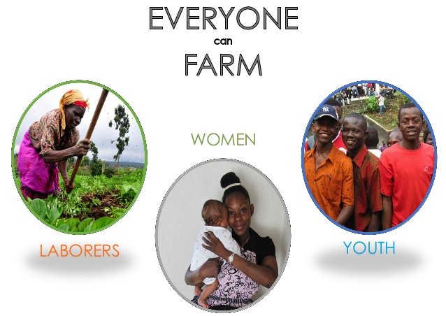 Empower 100 Hydroponic Urban Farmers in Benin City