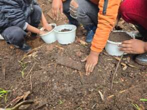 Children Planting on Nelson Mandela Day