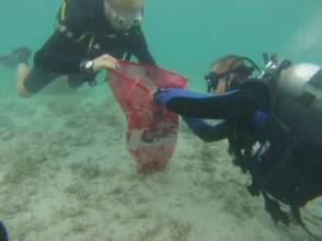 Cleaning Dive