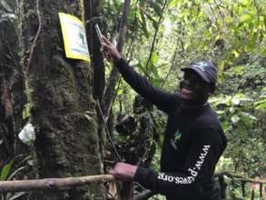 Venancio Florez Lopez, Golden Poison Frog Reserve