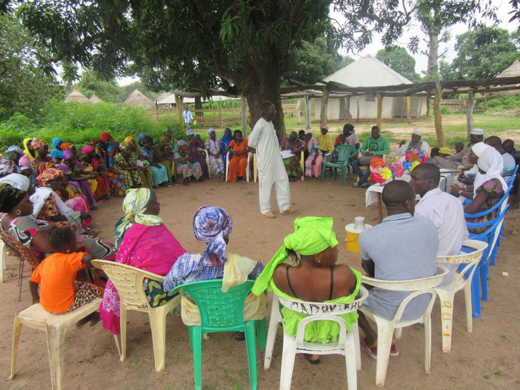 Ensure Freedom for 400 Talibe Children in Senegal