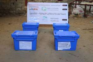 Aqubox Gold boxes in Yemen