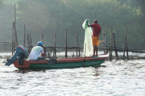 Fishing