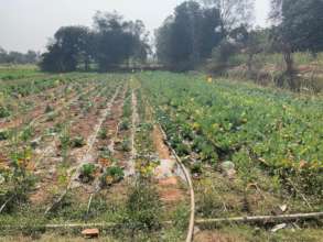 This farmer has seen his income double