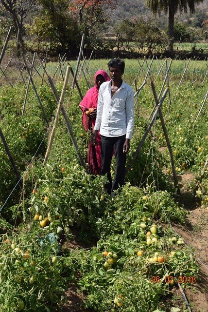 Provide 18 farmers with irrigation for life