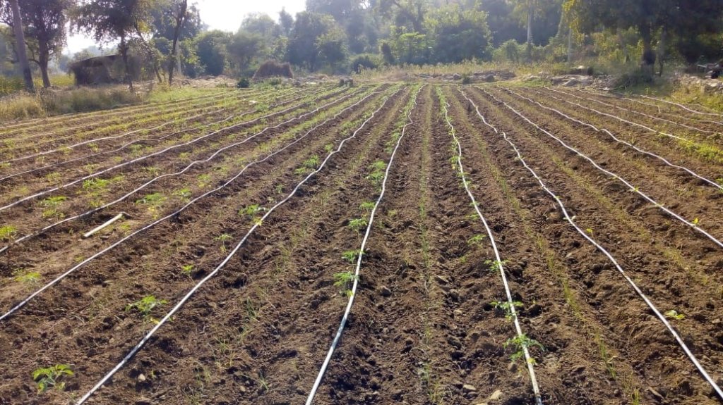 Provide 18 farmers with irrigation for life