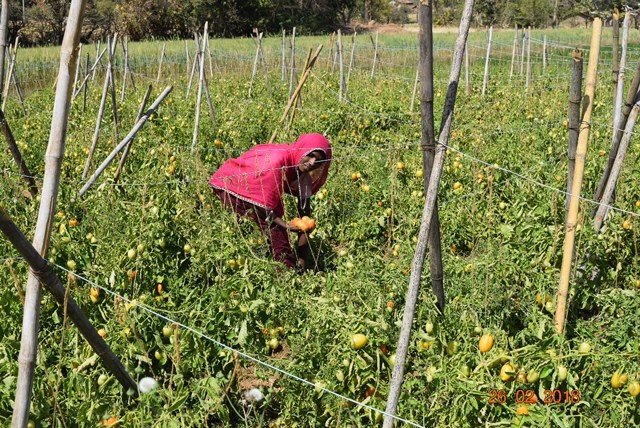 Provide 18 farmers with irrigation for life