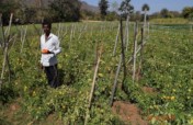 Provide 18 farmers with irrigation for life