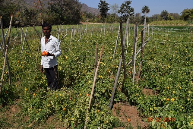 Provide 18 farmers with irrigation for life