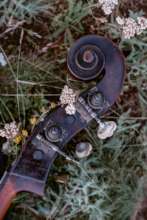Music meets nature