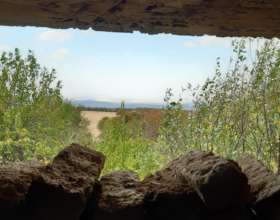 The Horizon Is The Limit