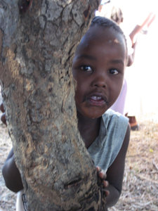 School Fees for 40 Young Girls in Zimbabwe