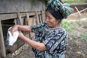 Women Raising Livestock