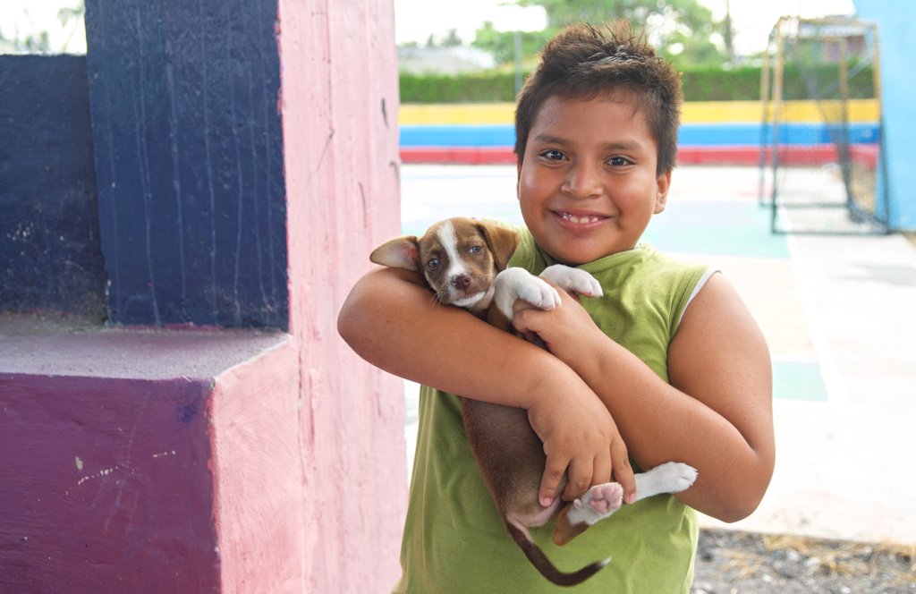Save All Species on The Galapagos Islands