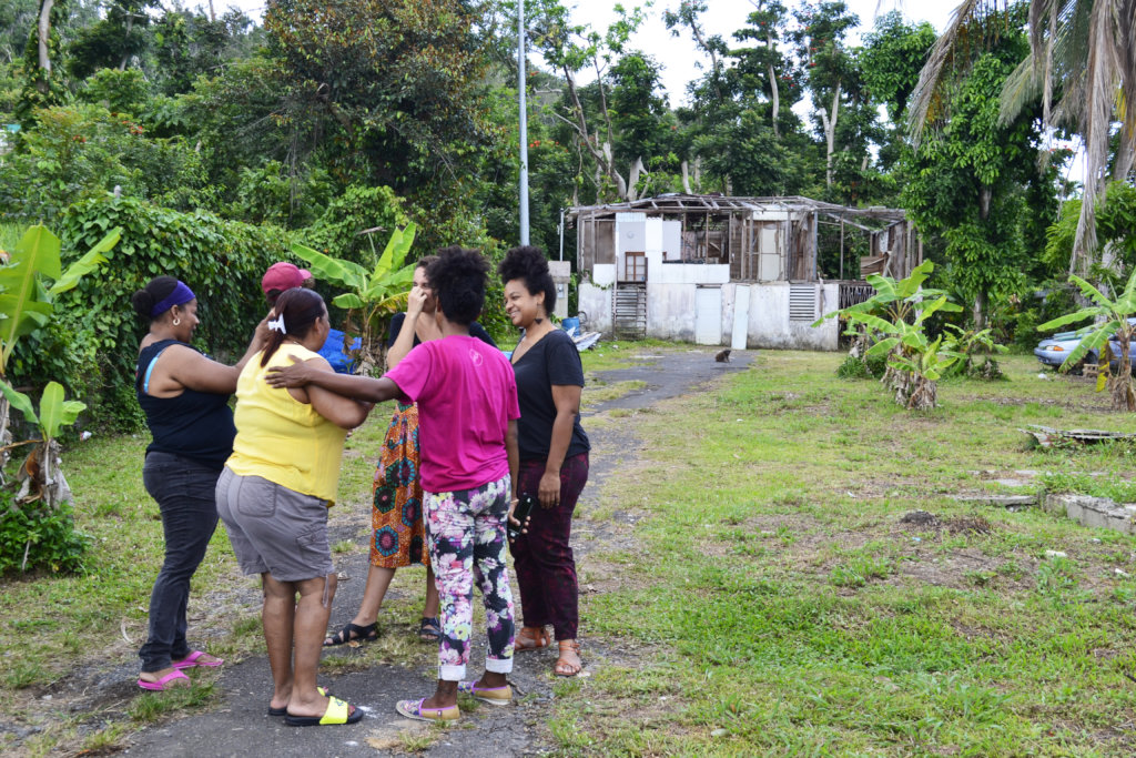 Bringing Iris Back Home