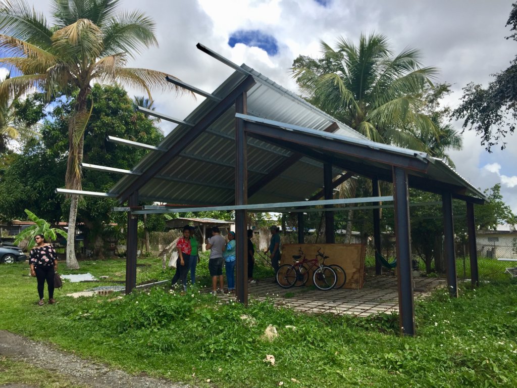 Bringing Iris Back Home