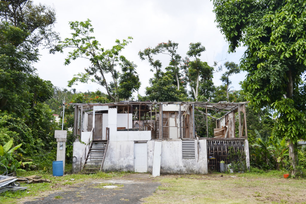 Bringing Iris Back Home