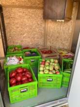 Look at this delicious produce!