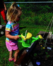 Watering the garden at Blooming View Montessori