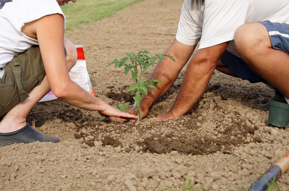 Building Resilience in Appalachia