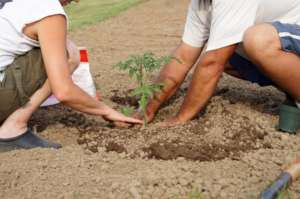 Building Resilience in Appalachia