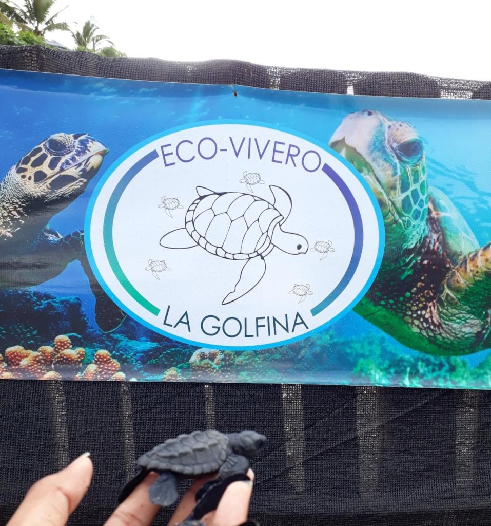Saving Kids & Turtles in Jurado, Colombia