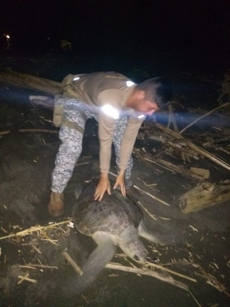 Saving Kids & Turtles in Jurado, Colombia