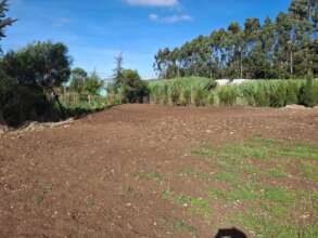 Filling edges with imported top soil