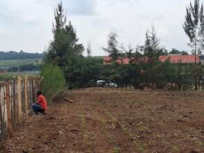 Refencing after road construction