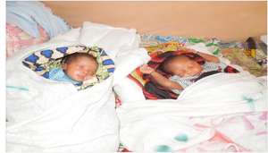 Adeline's healthy baby boys.