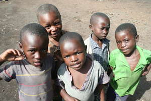 Congolese Boys
