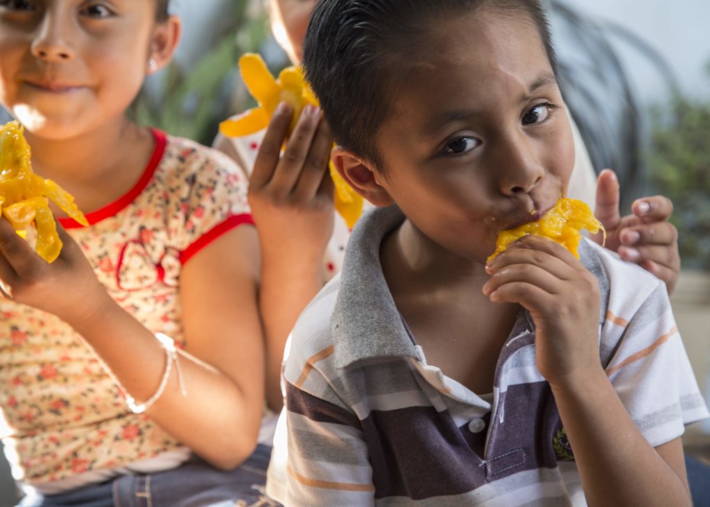 Food Rescue for Hunger, New Food Bank in Mexico