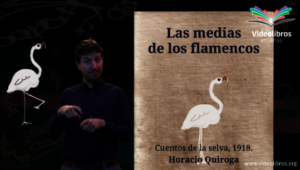 Las medias de los flamencos