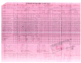 Abigail's report card
