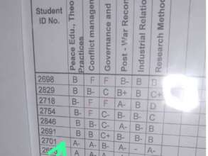 Mariama's excellent grades