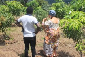 Fruit trees = nutritious fruits for the girls