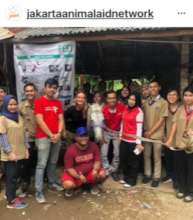 Teamwork to help Jakarta's hard working horses