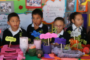 entrepreneurship project