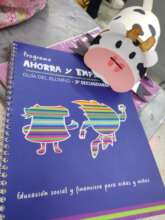 Entrepreneurship and Savings workbook