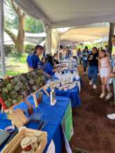 Entrepreneurship and Savings Fair