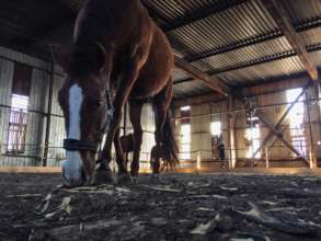 Wise is closely inspecting new arena floor