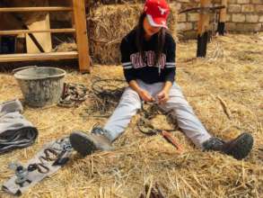 Volunteer Annie, preparing tack for pasture season