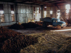 Laying the clay substrate for the arena