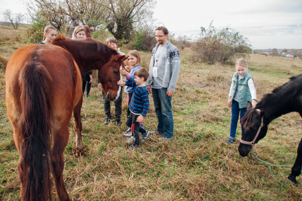 Horse Sanctuary