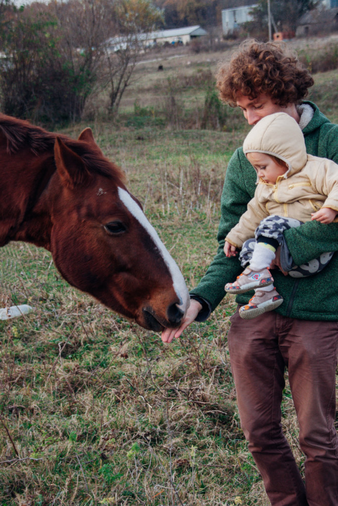 Horse Sanctuary
