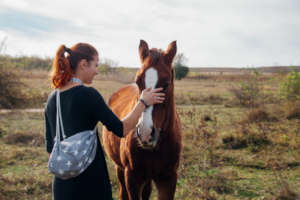 Horse Sanctuary