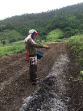 Farmer adding biochar to soil